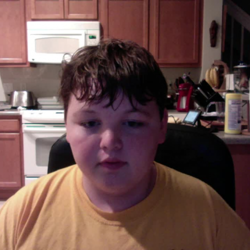 Describe the family visual