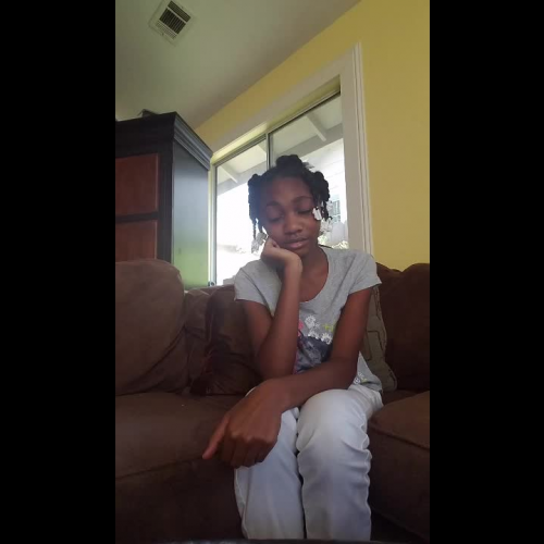 Flvs 3.02 Describe the Family Visual Presentation.