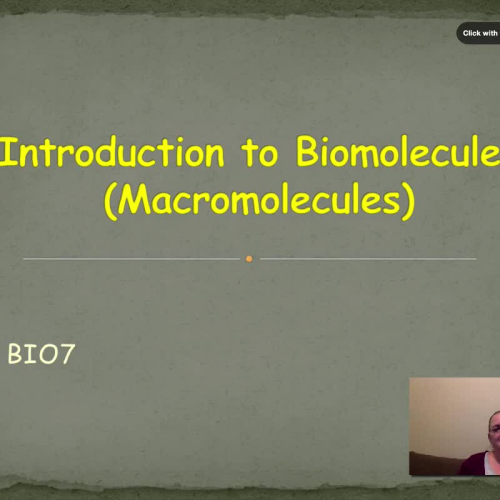 3. BIO7 - Biomolecules (Macromolecules)