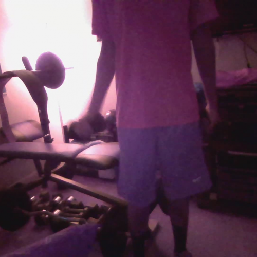 FLVS HOPE 2.04 muscular strength video assessment 