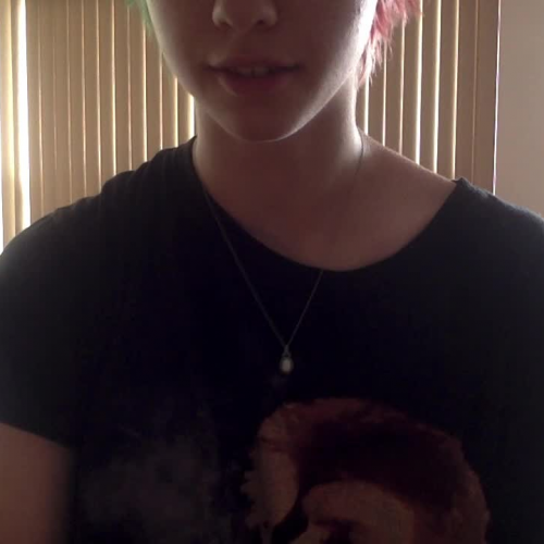 Spanish 3.02 Descrie Your Family Visual Presentation