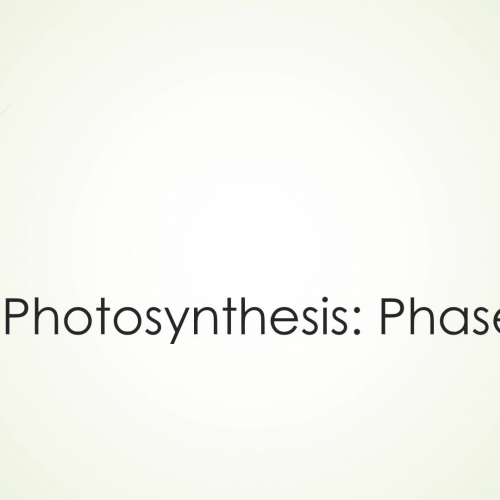 Photosynthesis- Phase 1