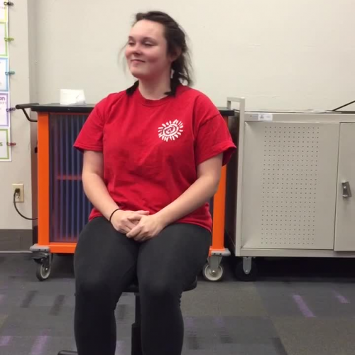 3.02 Describe the Family Visual Presentation 