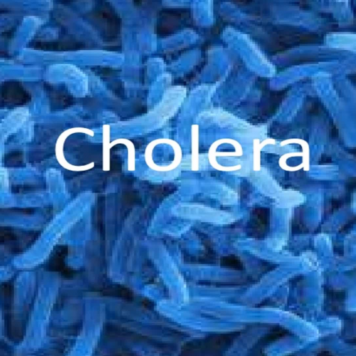 Public servicer health announcemet for Cholera 