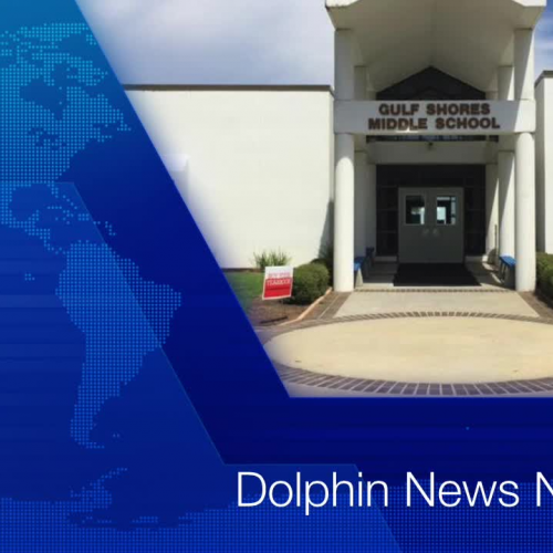 Dolphin News Network 9 29 17