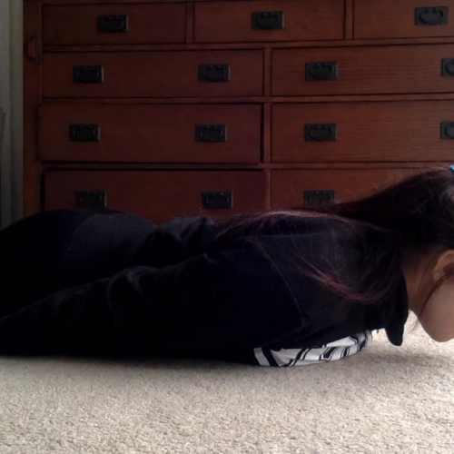 1.03 Video Submission.