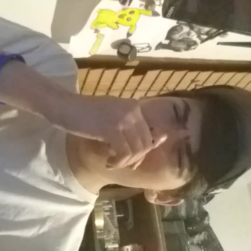 3.02 describe the family visual representation