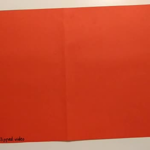 SILVIA GARCIA OZORES:VIDEO:FLIPPED