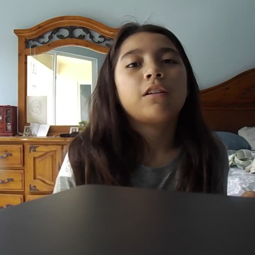 Spanish 1 Lesson 3.02