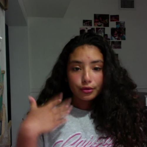 3.02 describe the family visual presentation