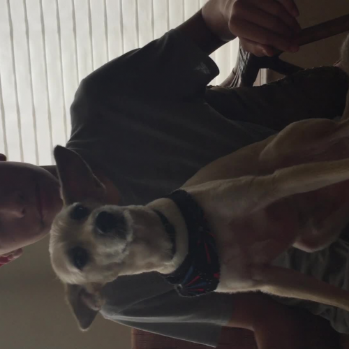 3.02 Describe the Family Spanish Project