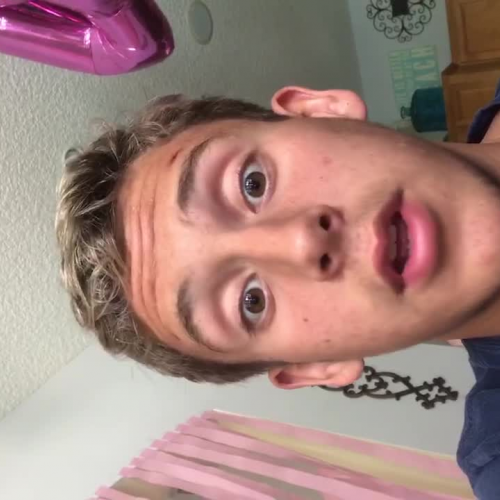 03.02 Describe the Family Visual Presentation 