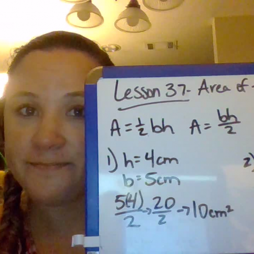 Area of triangle/rectangles