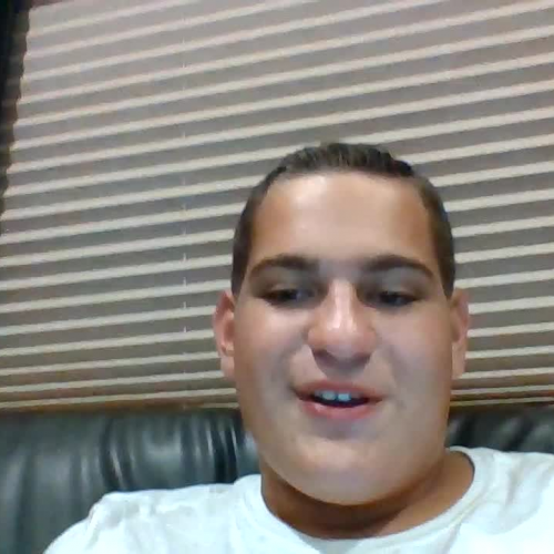 Describe the family visual presentation