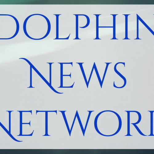 Dolphin News Network 10 20 17