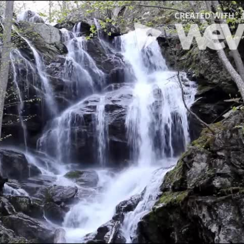 Trent, Kyle, and Cody