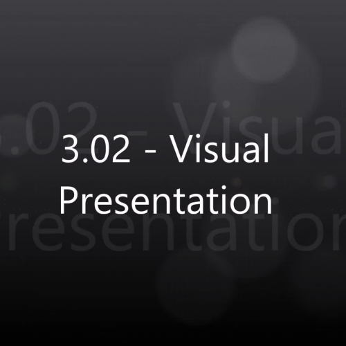 3.02 - Visual Presentation
