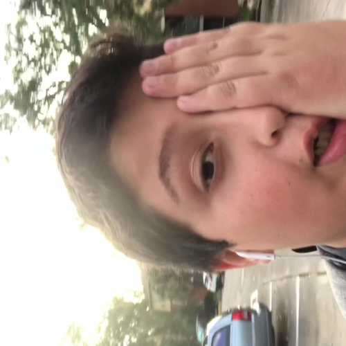 03.02 Describe the Family Visual Presentation