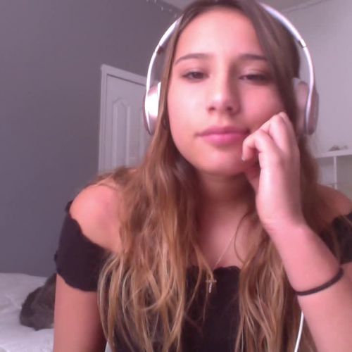 Tengo Sueño Spanish 1 Describe the family visual presentation