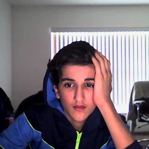 03.02 Describe the Family Visual Presentation 