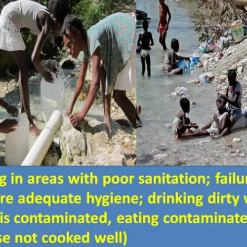 How to Prevent Cholera