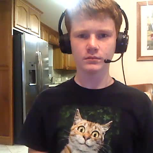 FLVS Spanish 1 - 3.02 Assignment