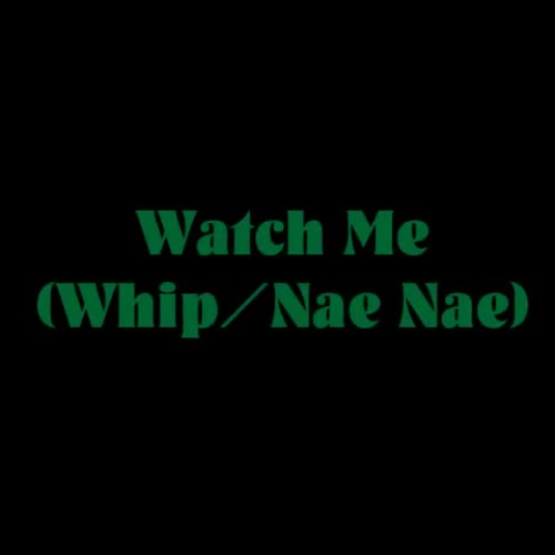 BGS Music Video - Whip Nae Nae