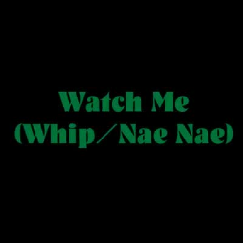 Watch me Whip Watch me Nae Nae