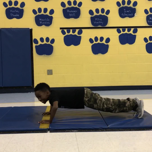 Push Ups