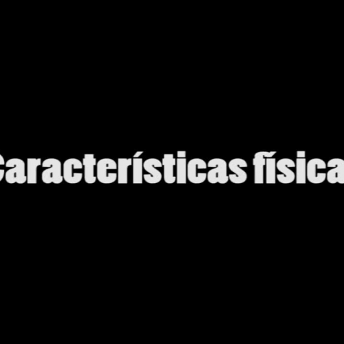 Video 5 - Características físicas