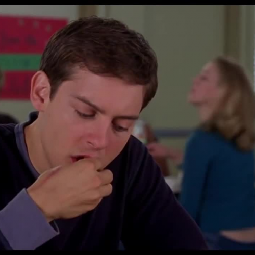 Spiderman Adaptations