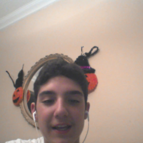 03.02 Describe the Family Visual Presentation.