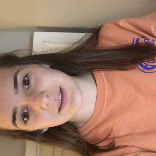 03.02 Describing the family visual presentation