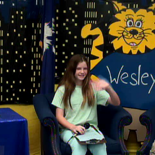 Thursday, November 9, 2017, WVES News