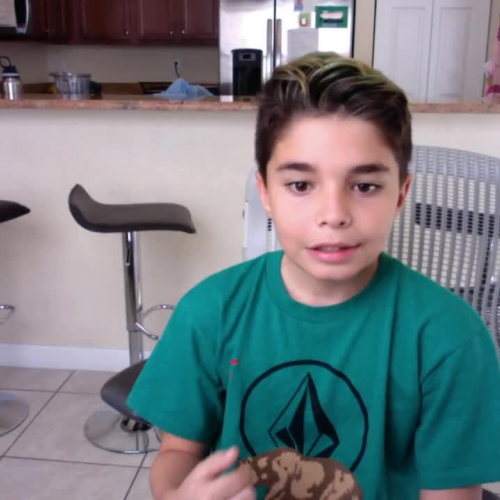 Flvs Spanish 1 - Lesson 3.2