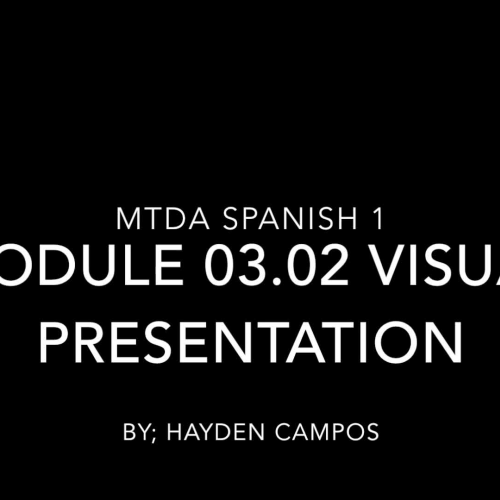 MTDA Spanish 1 Module 03.02 Visual Presentation 