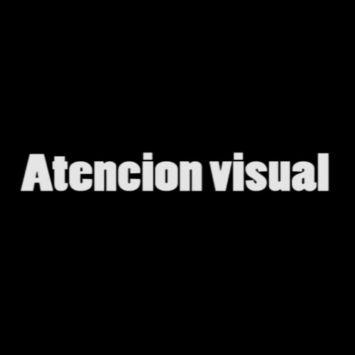 Video 7 - Atención Visual