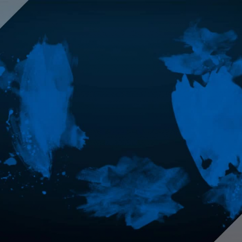 Cholera Public Health Announcement for HLT555