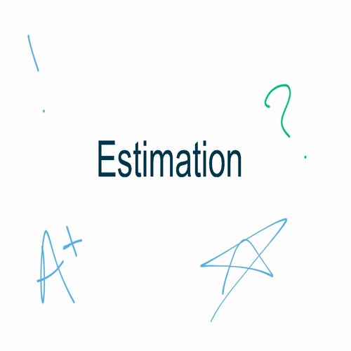 Estimation Strategies