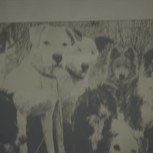 Uncle Herman: The Easter Miracle by Mr Edward P. Ricci (Book Trailer)