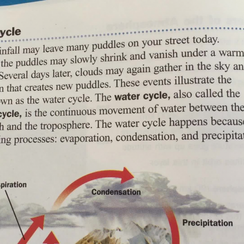 Water Cycle Reading p 216 from SCIENCESAURUS