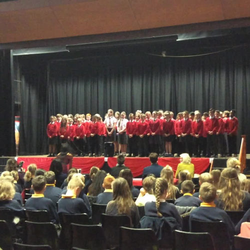 Chase Factor - Nov 2017