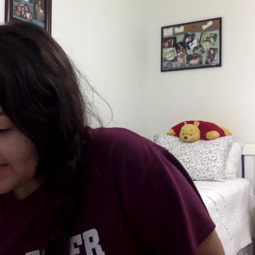 Gestures for Describing the Family - 03.02