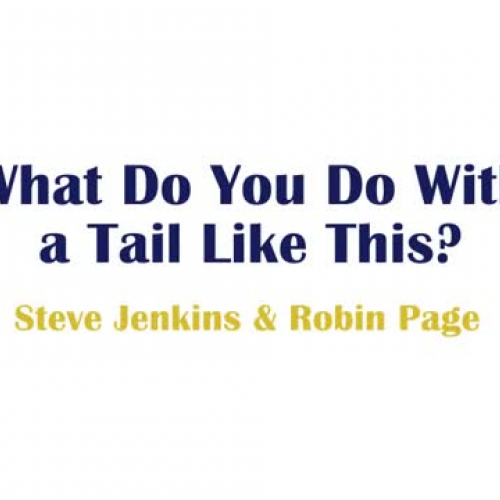 What do you do with a tail like this?
