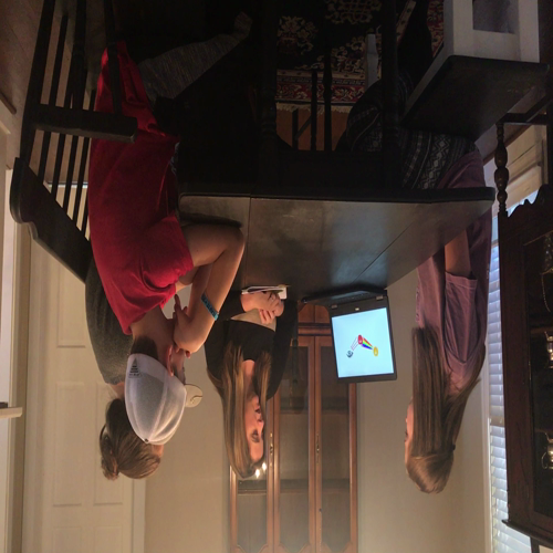 Micro teaching demo ED 585