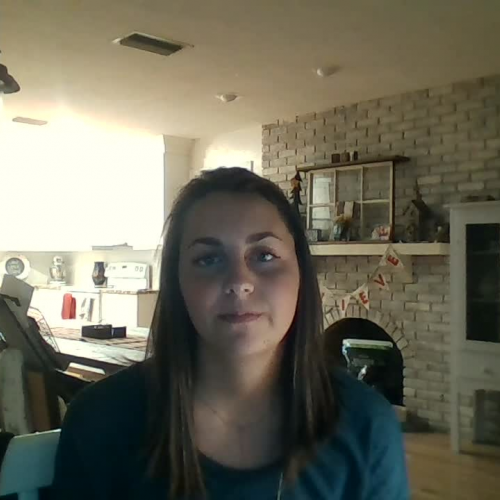 Describe The Family Visual Representation