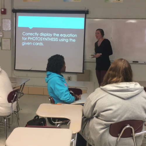 Photosynthesis Lab Activity