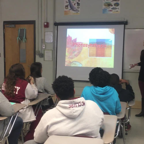 Photosynthesis Presentation