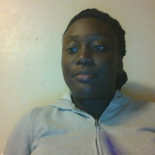 Instructional Video on How to Use The Pizza Fraction App