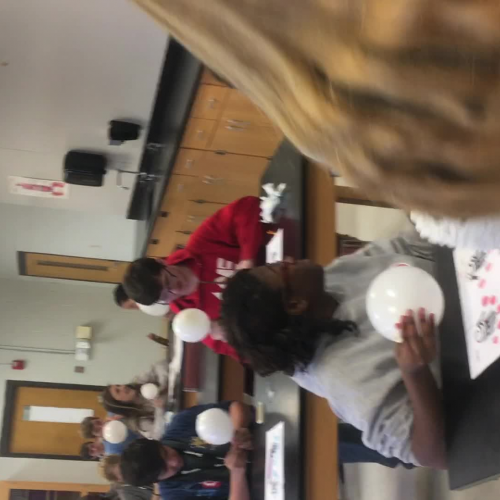 Fingerprint Identification